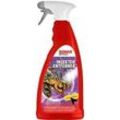 SONAX Insektenentferner Sonderedition 2023 (1 L) 05334410