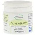 Olivenblatt-extrakt Vegi Kapseln 120 St