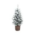 Evergreen LED-Weihnachtsbaum mit geflochtenem Übertopf - Dunkelbraun