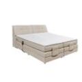 ED Lifestyle Concord 2 Boxspringbett Holzwerkstoff/Tonnentaschenfederkern H2 180x200 cm