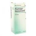 Plantago Homaccord Tropfen