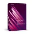 Magix VEGAS Pro 17 Suite License Code