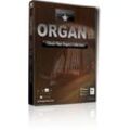 Garritan Classic Pipe Organ License Code