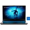 MEDION Gaming-Notebook "ERAZER Deputy P60i (MD62688)" Notebooks Gr. 16 GB RAM 1000 GB SSD, Core i7, Windows 11 Home, schwarz