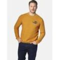 Pullunder JAN VANDERSTORM "Pullover TRYGVE" Gr. L, gelb (dunkelgelb) Herren Pullover