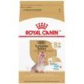 Yorkshire Ageing 8+ - Trockenfutter für ältere Hunde - 3kg - Royal Canin