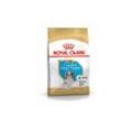 Bhn Cavalier King Charles Spaniel Puppy - Welpen-Trockenfutter - 1,5 kg - Royal Canin