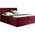 Boxspringbett 200x200 cm Vivaro Lux - Rot - Rot