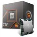 AMD Ryzen 5 8600G 6 x 4.3 GHz Hexa Core Prozessor (CPU) Boxed Sockel (PC): AMD® AM5 65 W