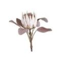 Chic Antique Fleur Kunstblume Protea, H66 cm, creme