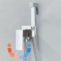 Bidet Toilettensprüher, Hand Bidet Sprayer,Bidet Handbrause,Chrom Edelstahl Duschkopf Bidet Armaturen für Haustierbad/Körperpflege/WC