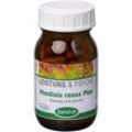 Rhodiola Rosea Plus B-Vitamine 60 ST