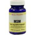 Msm 500mg Gph Kapseln 60 ST