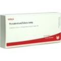 Periodontium/Silicea Comp 10 ML