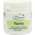 Yams Wurzel 120 ST