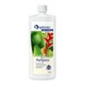 Spitzner Saunaaufguss Ingwer-Limette Wellness 1000 ML