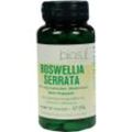 Boswellia Serrata 200mg Ind Weihrauch Bios Kapseln 100 ST