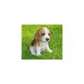 Dazikemo Dekofigur Gartenfigur Beagle Welpe