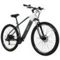 TOTEM TOTEM E-MTB Hardtail 29" Youin EV-S Heckmotor 50NM / 14Ah stahlgrau-weiß