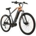 TOTEM TOTEM E-MTB Hardtail 29" Youin FJ-M Mittelmotor 80NM / 15Ah stahlgrau-orange