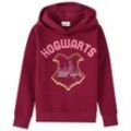 Harry Potter Hoodie mit großem Print