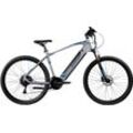 E-Bike ZÜNDAPP "Z808" Gr. 48, silber (silber, blau), E-Bikes, 48cm, 29 Zoll (73,66cm), Pedelec, Elektrofahrrad für Damen u. Herren, MTB