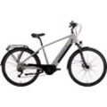 E-Bike SAXONETTE "Premium Sport (Diamant)" Gr. 48, silber (silberfarben), E-Bikes, 48cm, 28 Zoll (71,12cm), Pedelec, Elektrofahrrad für Herren