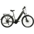 E-Bike TOTEM "DLT-40" Gr. 45, grau (anthrazit), E-Bikes, 45cm, 29 Zoll (73,66cm), Pedelec, Elektrofahrrad für Herren