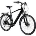 Zündapp Z810 E Bike Trekkingrad Herren ab 160 cm mit 24 Gängen und Beleuchtung StVZO