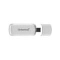 Intenso - USB-Stick 128GB Flash Line Type-C usb 3.1 (3538491)