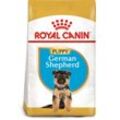 ROYAL CANIN German Shepherd Puppy Welpenfutter trocken für Deutsche Schäferhunde 12kg