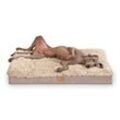 Tierlando PABLO SHAGGY ORTHO PLUS Hundematratze beige 80 cm, 13 cm, 60 cm