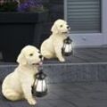 Solarleuchte Solarlampe Außenleuchte Gartenlampe Hund, Akku Wetterfest IP44, Hundfigur mit Laterne, beige weiß, 1x led 0,06W, HxLxB 25x15,5x23,5cm,