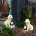 Solarleuchte Solarlampe Außenleuchte Gartenlampe Hund, Akku Wetterfest IP44, Hundfigur mit Laterne, beige weiß, 1x led 0,06W, HxLxB 25x15,5x23,5cm,