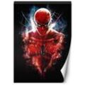 Fototapete, Spider-Man Barrett Biggers – 200x280