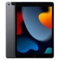 Apple iPad LTE 9.Gen (2021) 25,9 cm (10,2 Zoll) 256 GB spacegrau