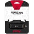 Kingston FURY Renegade 1 TB interne SSD-Festplatte