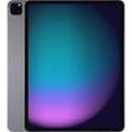 Apple iPad Pro 12,9 256GB [Wi-Fi + Cellular, Modell 2021] space grau