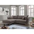 Ecksofa INOSIGN "Lazio", grau (grau, braun), Sofas, B/H/T: 255cm x 94cm x 180cm, Velours, Recamiere links zwei verschiedene Fußfarben wählbar