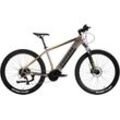 E-Bike TOTEM "Maurice Pro" Gr. 53, grau, E-Bikes, 53cm, 29 Zoll (73,66cm), Pedelec, Elektrofahrrad für Damen u. Herren