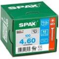 SPAX® Universalschrauben T20 Senkkopf BLANK A2 60mm x 4 mm, 100 St.