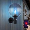 Außenwandleuchte LED Wandlampe mit Bewegungsmelder Wandleuchte Edelstahl anthrazit Glaskugel rauch, App Steuerung CCT, Smart RGB LED 8,5W 806Lm,