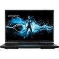 MEDION ERAZER Beast X40e, Gaming Notebook, mit 17 Zoll Display, Intel® CoreTM i9,i9-14900HX Prozessor, 32 GB RAM, 2 TB SSD, NVIDIA GeForce RTXTM 4070, Schwarz, Windows 11 Home (64 Bit)