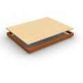 Simonrack Stahlträger mit HDF-Fachboden ECOFORTE EA 1204 orange 120,0 x 45,0 cm