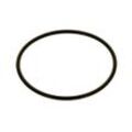 Buderus O-Ring 123,19x5,33mm EPDM, 2 Stück 87185742440