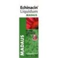 Echinacin Liquidum Madaus