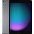 Apple iPad 10,2 256GB [Wi-Fi, Modell 2021] space grau