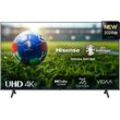 E (A bis G) HISENSE LED-Fernseher "65E6NT" Fernseher 4K UHD Gr. 65, schwarz