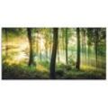 Wandbild ARTLAND "Herbst im Wald II" Bilder Gr. B/H: 150cm x 75cm, Alu-Dibond-Druck Waldbilder Querformat,, grün als Alubild, Outdoorbild, Leinwandbild, Poster, Wandaufkleber