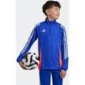 Trainingsshirt ADIDAS PERFORMANCE "TIRO24 TRTOPY", Kinder, Gr. 176, blau (lucid blau, weiß, app solar rot), Obermaterial: 100% Polyester, sportlich, Shirts